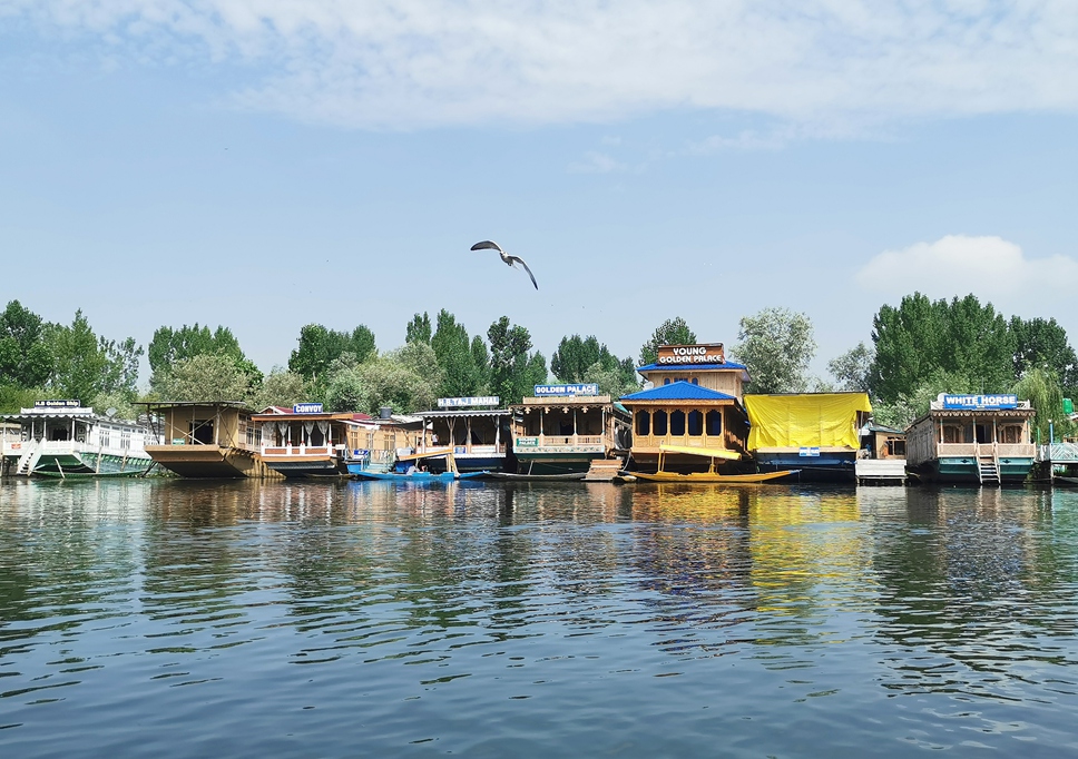 斯利納加 Srinagar 達爾湖 水上市場
